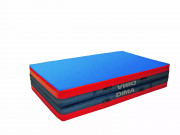 Matelas de gym de rÃ©ception repliable en 2 parties  - Dima